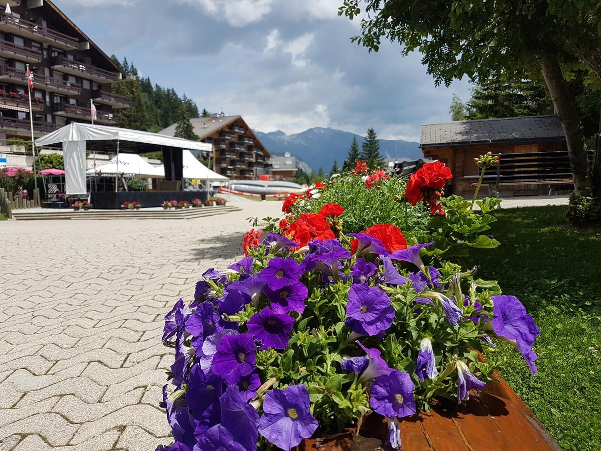 Holidays Groupes Anzère Екстериор снимка
