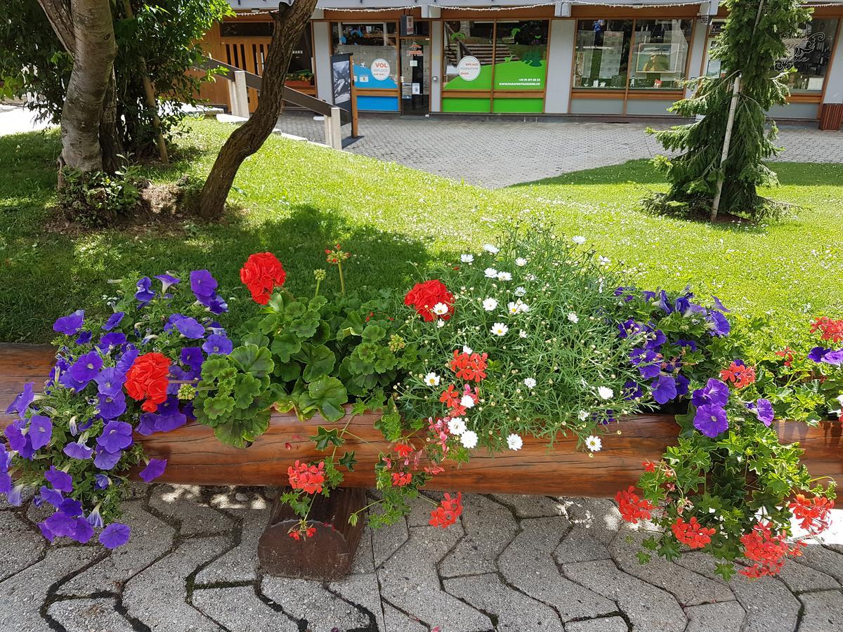 Holidays Groupes Anzère Екстериор снимка