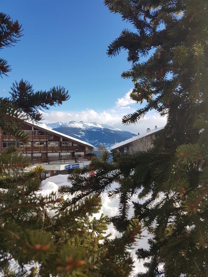 Holidays Groupes Anzère Екстериор снимка